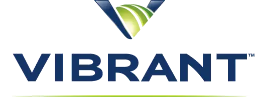Vibrant Media Logo